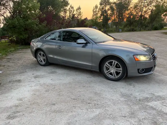SAFETIED 2011 Audi A5 