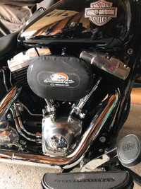 2012 Harley-Davidson Softail Slim (FLS) w/103