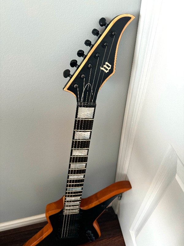 Wylde Audio Blood Eagle blackout EMG explorer guitar in Guitars in City of Toronto - Image 2