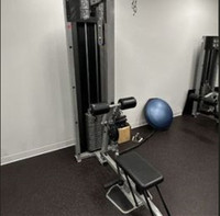 Life Fitness Light Commercial Combo Lat Pull/Low Row M#FLSR Used