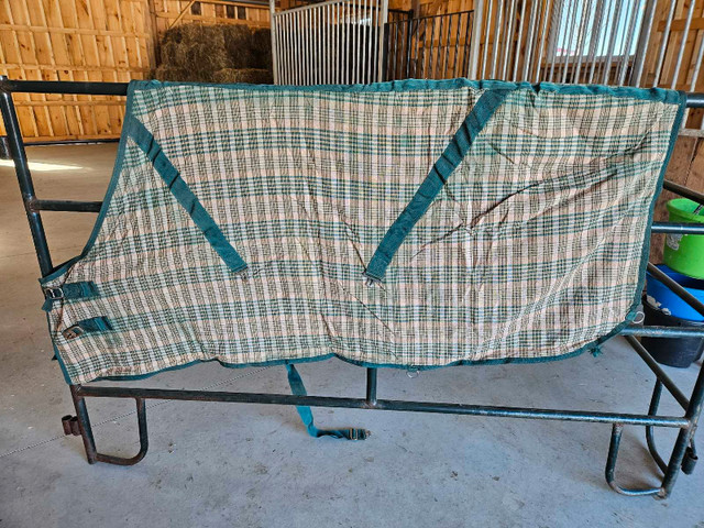 72-76" Horse blankets and sheets in Equestrian & Livestock Accessories in Belleville - Image 4