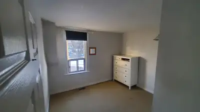 Room for rent in Leslieville!