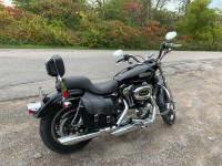 2002 Harley Sportster XL1200L  - Price drop