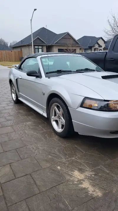 2004 mustang gt convertible, car is in great shape. Clean well maintained mustang, ready for summer...