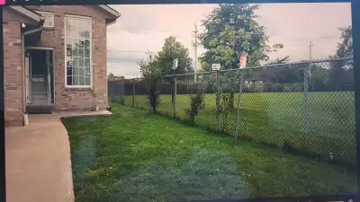 Rent  house