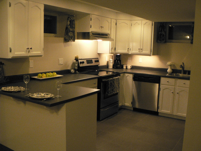 Modern Basement Suite, Glenora (2 Bdm, 2 Bath) Long Term Rentals