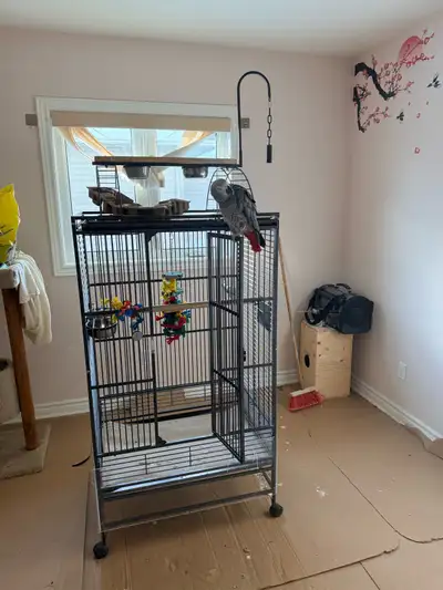 Professional galvanized steel cage for large parrots, View more