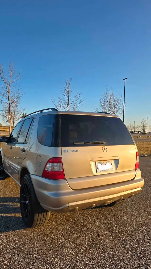 2003 Mercedes ML 350568795635500994562