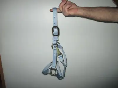 LICOU AVEC LAISSE POUR CHEVAL, View more