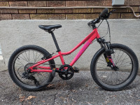 Garneau Trust 20 - Kids MTB with front suspension.