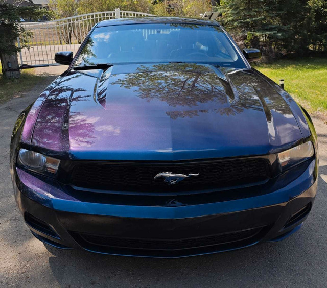 2012 Ford Mustang V-6, Low Km, Excellent shape  in Cars & Trucks in St. Albert - Image 2