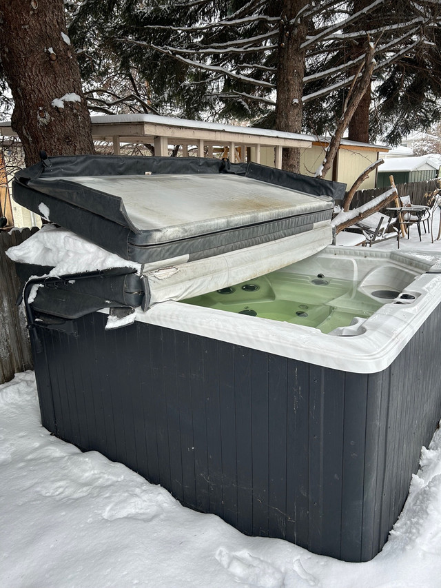 Dynasty Spas Hot tub in Hot Tubs & Pools in Calgary - Image 3