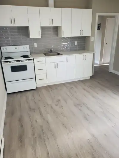 2 Bed, One Bath Apartment top floor of the Triplex Downtown Kitchener, 2 Parking Spaces included