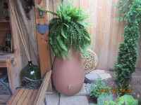 Rain Barrel