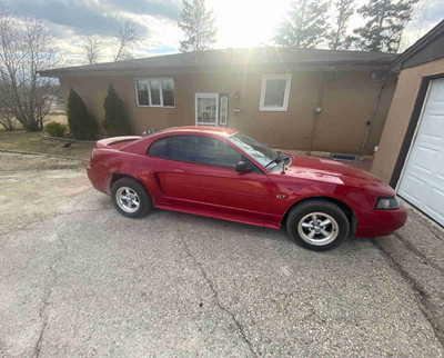 2000 Ford Mustang GT