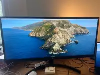 2x29po LG UltraWide Monitors
