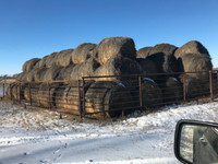 Hay Bales for Sale