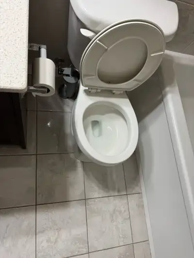 Hi I’m cleaning I have experience cleaning for house, apartment, condo…. Move out or move in! When y...