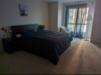 Master bedroom with personal washroom in downtown London