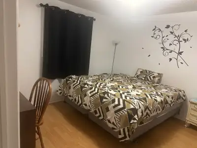 Large bedroom with King size bed, fully furnished,with ample storage closet. Shared kitchen and bath...