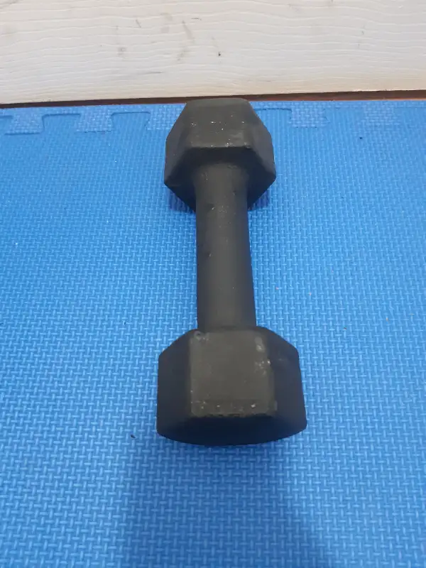 dumbbells in Exercise Equipment in Delta/Surrey/Langley - Image 5