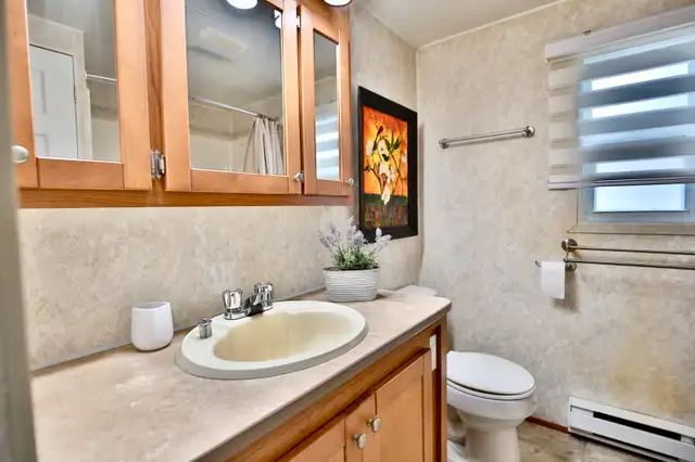 Low-cost mobile home63849108677507124