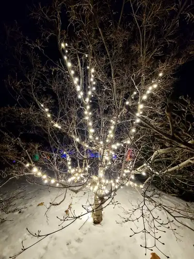 Free Relaxation!, View more