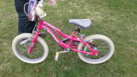 Girls Schwinn Jasmine Bike---16" Great Conditon