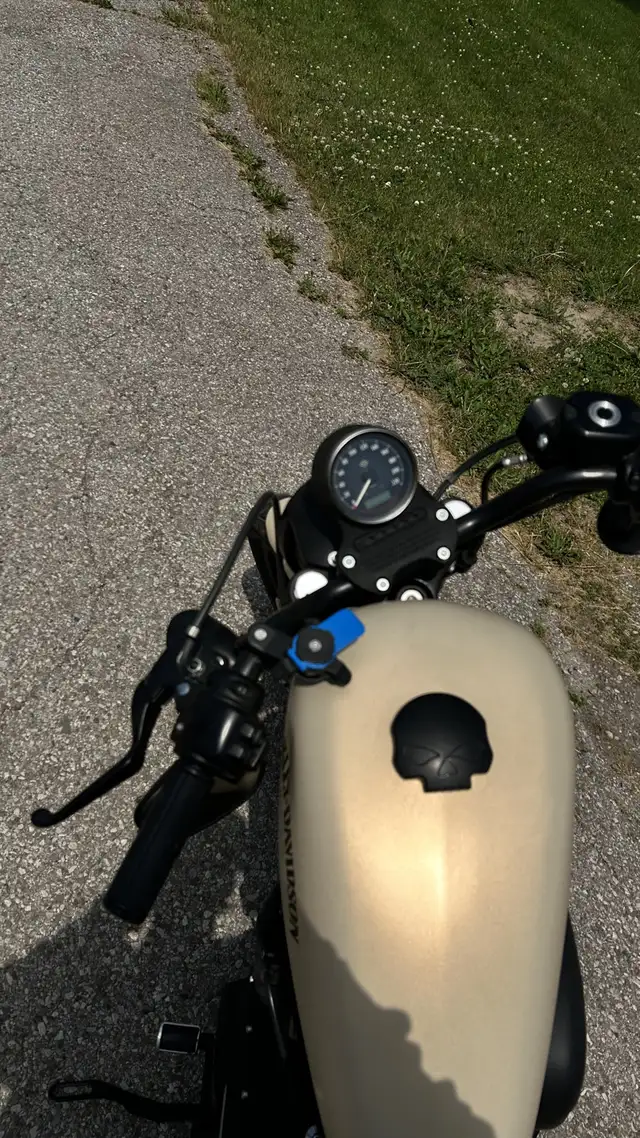Harley-Davidson Sportster 883 in Street, Cruisers & Choppers in Oakville / Halton Region - Image 3