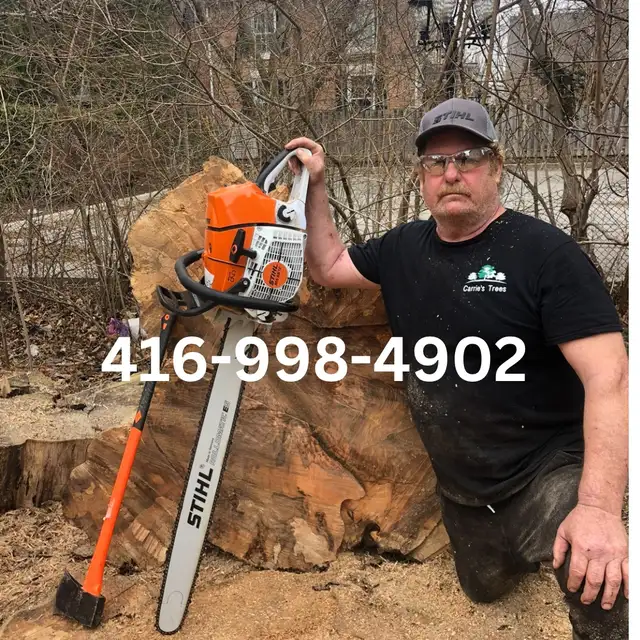 Landscaping and tree work