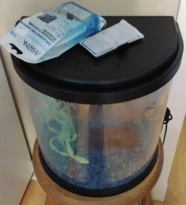 Many small aquariums for sale price in description. in Fish for Rehoming in Saint John - Image 2