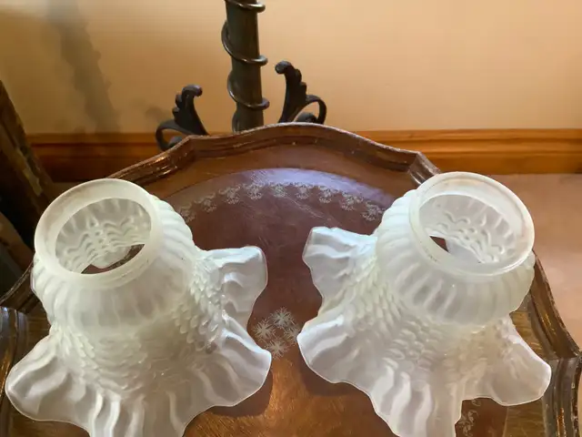 Two Vintage Frosted Petticoat Glass Lamp Shades in Indoor Lighting & Fans in Belleville - Image 5