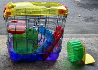 Hamster Cage and Accessories