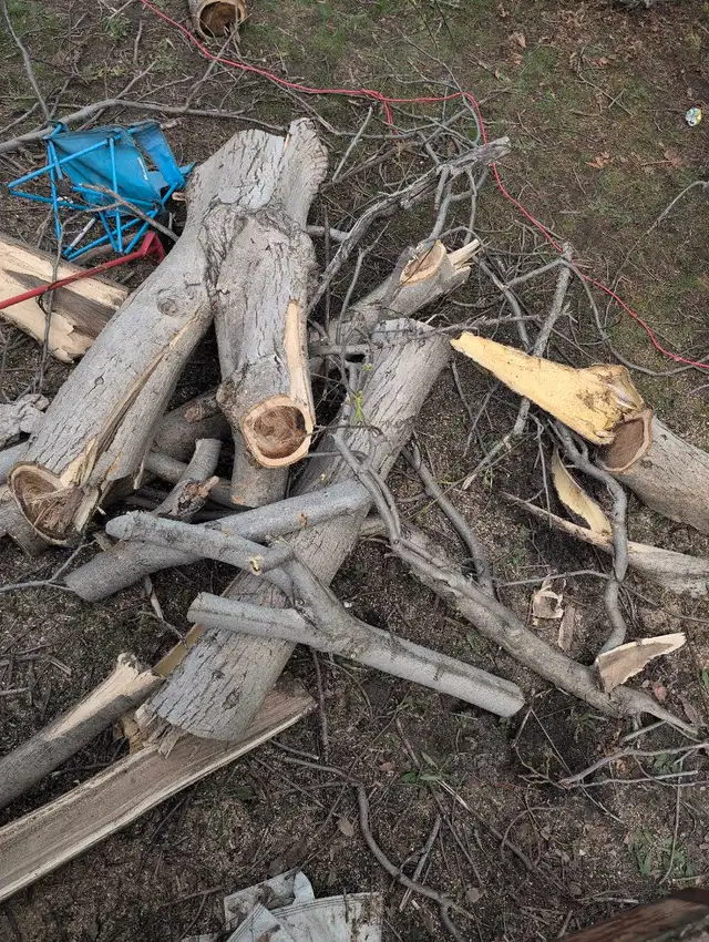 Pieces of wood in Other in City of Montréal - Image 3