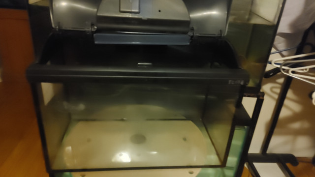 10 gallon tank with top cover for Aquarium Fish Tank in Fish for Rehoming in Ottawa - Image 4