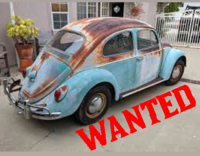 Wanted - VOLKSWAGEN BEETLE in Classic Cars in Abbotsford - Image 2