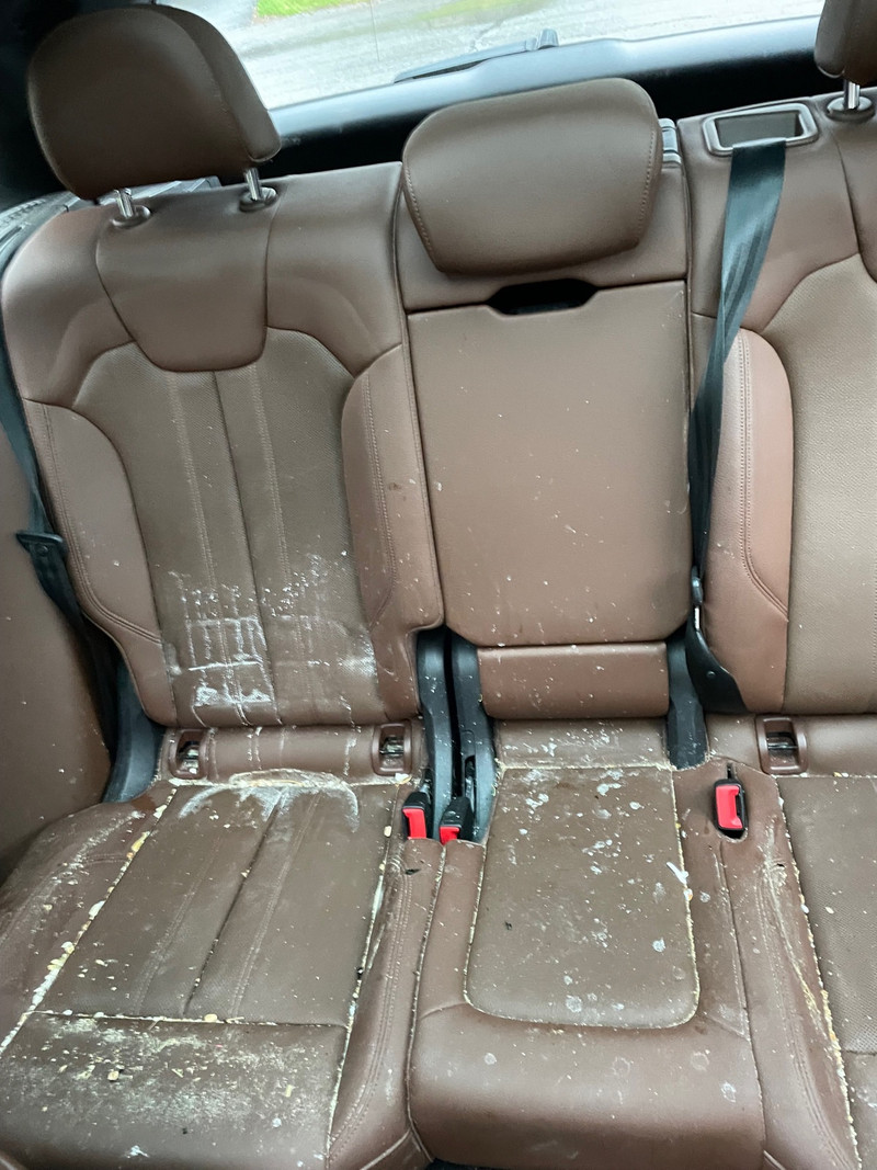 Car detailing Cleaners & Cleaning Ottawa Kijiji