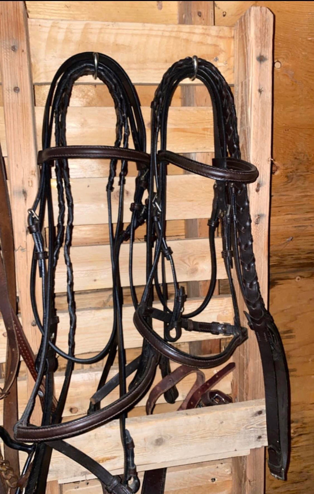 New English bridles and reins  in Equestrian & Livestock Accessories in Leamington