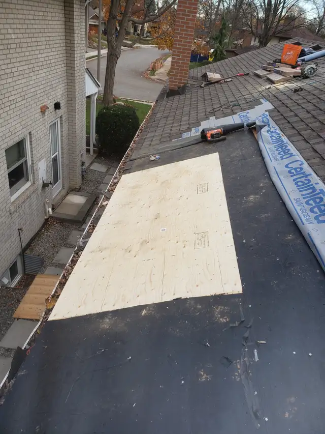 Handyman/eaves cleaning530755415893626884
