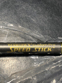 Lew’s Custom Pro Speed stick casting rod