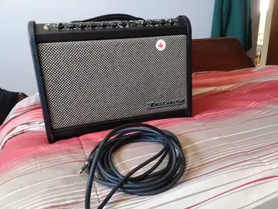 Traynor acoustic master mini 65 watt acoustic amp with effects, View more