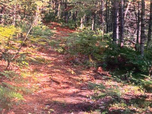 Terrain à vendre Mandeville, Lanaudière 35 000 pi2 bord de l'eau in Land for Sale in Lanaudière - Image 5