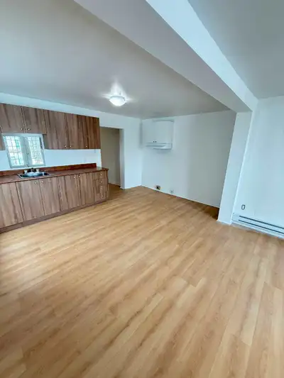 Beau 4 1/2 fraichement rénové à louer à Sorel-Tracy pour premier avril et disponible gratuitement dè...