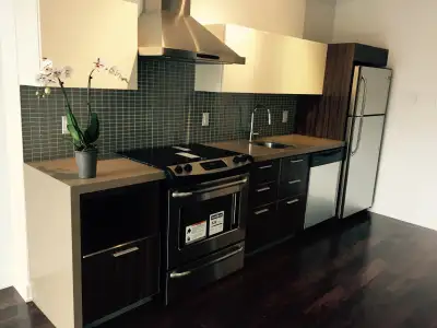 - 1 Bedroom + den for rent in the downtown core @ The Hideaway - Luxury condo for rent starting May...