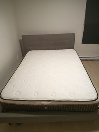 Bed and pocket spring mattress