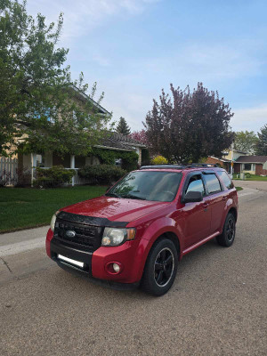 2010 Ford Escape