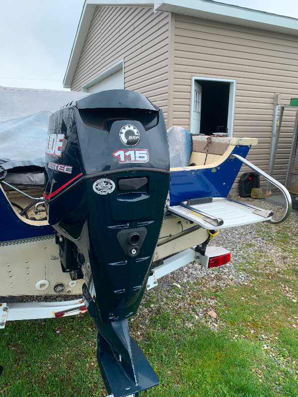 18 Ft Sylvan Boat With 2006 115hp Evinrude 