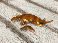 Pair of vintage Copper lizards 
