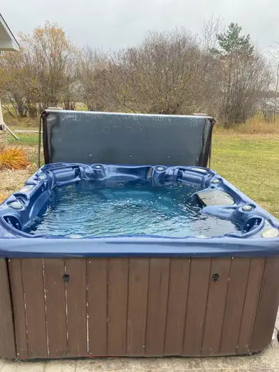 Excellent working hot tub. Cover is in great shape. New pumps, heater, and control panel. Basically...