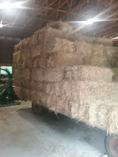 small straw bales, View more